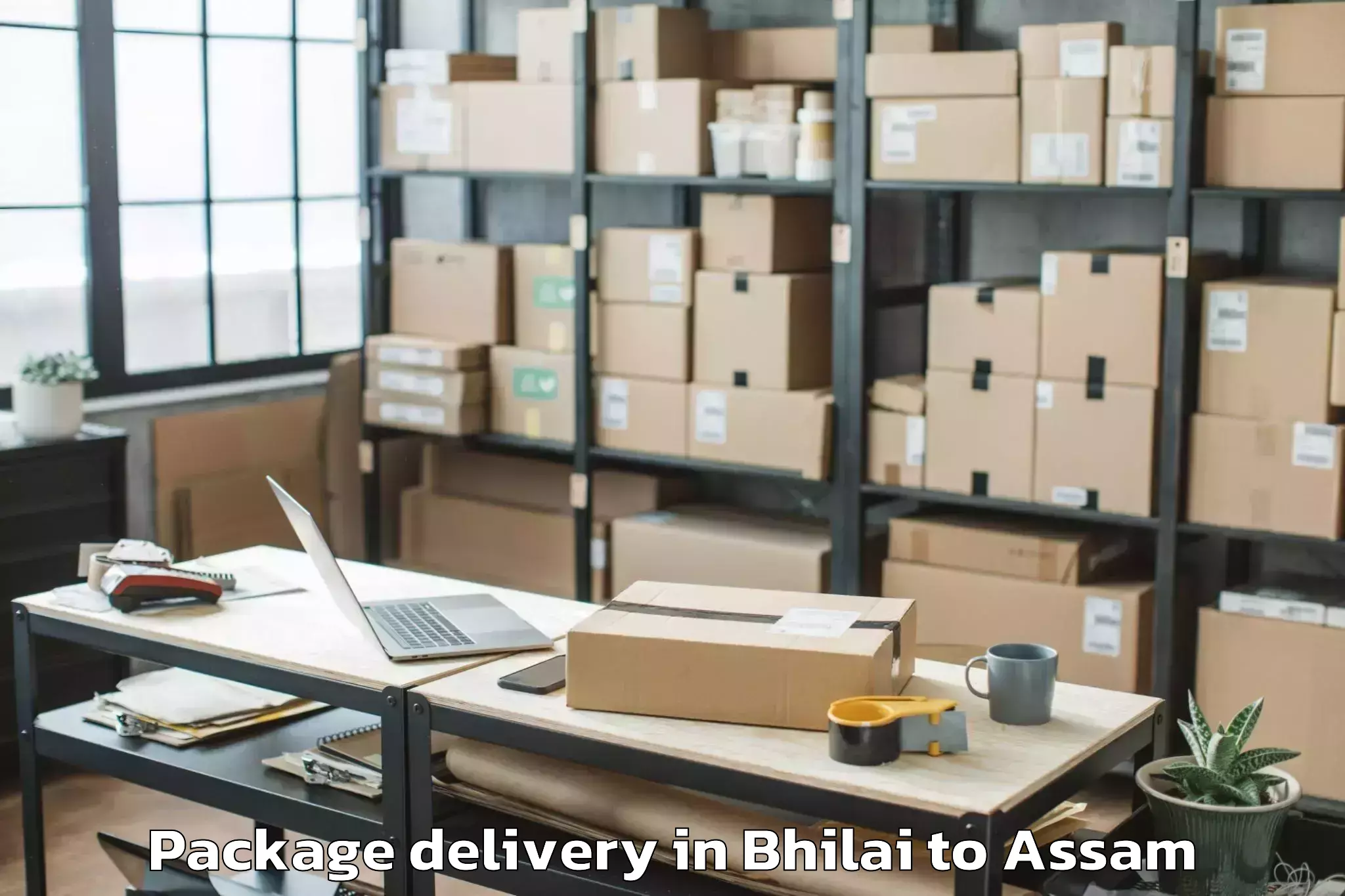 Professional Bhilai to Guwahati University Package Delivery